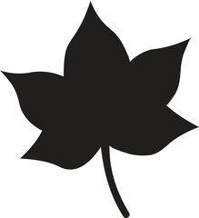 Silhouette of a Five-Lobed Leaf  Autumnal Icon, Nature Illustration