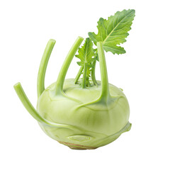 Single fresh kohlrabi with vibrant green leaves isolated on transparent background. Studio shot