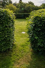 Nykobing Mors, Denmark High bushes and grass in a well-tended garden.