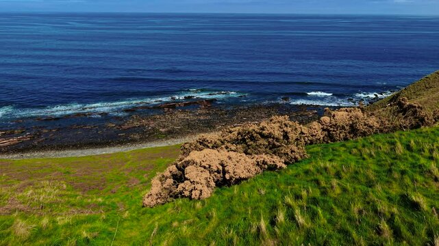 Waves reaching rocky shore below grassy slope with gorse bushes. Ocean meeting coastal terrain lined with Ulex europaeus. Surf touching stony beach near hillside covered in gorse