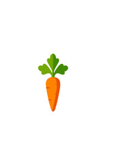 Flat Vector Illustration of a Fresh Orange Carrot with Green Leaves Isolated on White Background for Healthy Food and Organic Agriculture Concepts