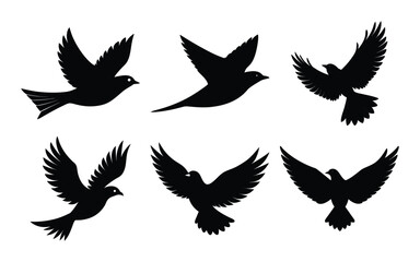 set of black silhouettes of doves in flight, various poses, isolated on white background.