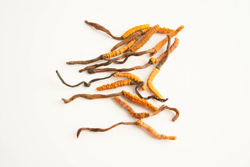 Cordyceps sinensis or Ophiocordyceps sinensis isolated on white background, mushroom herb treatment medicine.