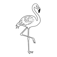 Elegant Flamingo Outline: A minimalist black and white illustration on white backdrop