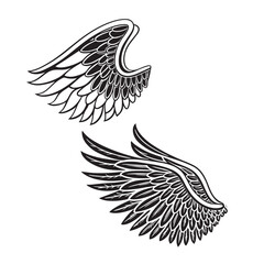 Wings vector illustration