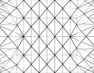 Fototapeta premium Geometric Black And White Pattern Design
