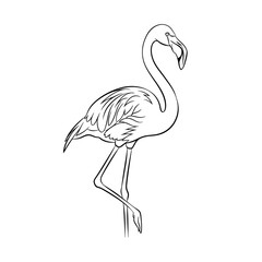 Elegant flamingo illustration in black and white, perfect for creative projects