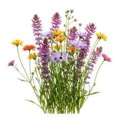 Naklejka premium Vibrant Flora: A collection of diverse wildflowers and delicate greens create a stunning visual of freshness and natural elegance, showcasing a palette of soft and vivid colors.