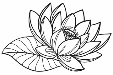 line-art-vector-of-a-lotus-flower-with-layered-pet