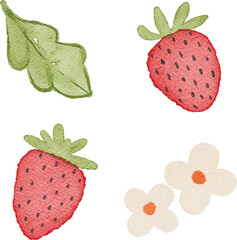 Watercolor Illustration of red strawberry fruits pattern