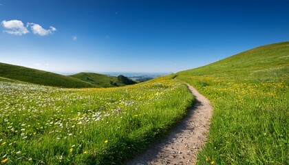 Obraz premium serene winding trail through vibrant meadow under clear blue sky