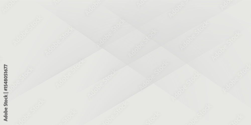Poster abstract white and gray background. smooth abstract background, blurred pattern. light pale vector b