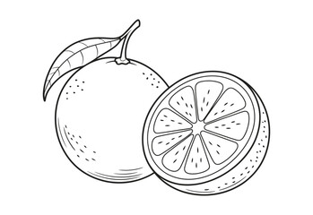 Whole orange and slice line art illustration