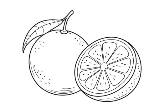 Naklejki Whole orange and slice line art illustration