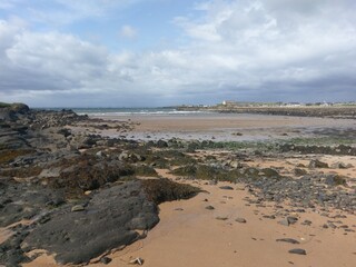 Authentic Coastal Scene with Wet Sand, Seaweed and Remote Hamlet under Overcast Skies, Natural Shoreline Capturing the Rugged Beauty of the British Isles