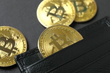 Golden bitcoin with black wallet, close up. Bitcoin and cryptocurrency investment concept. Electronic decentralized money concept, close up