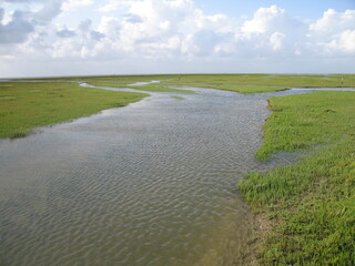 Priel und überflutetes Land mit Salzwiesen in Westerhever an der Nordsee