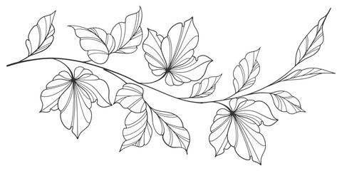 flower and leaves drawing. Vector hand drawn engraved floral card. Botanical, branch and flower Black ink sketch. Great for tattoo, invitations, greeting cards, decor