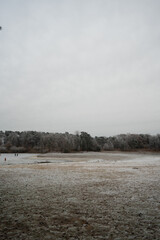 scenic outdoor dutch landscape with grass covered in white rime with small frozen water lake and visible tree line of a frozen forest in the background under a calm overcast daytime sky