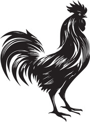 Vector Silhouette Rooster isolated on white background 