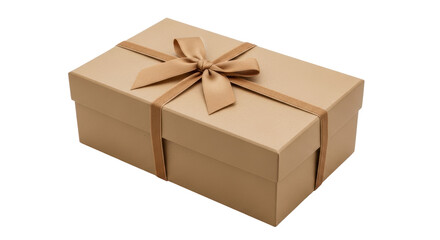 Isolated Gift Box with Ribbon