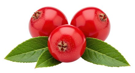 Isolated Red berries with leaves