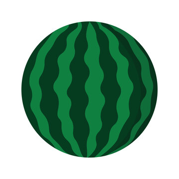 Whole Watermelon Vector Illustration Fresh Fruit and Summer