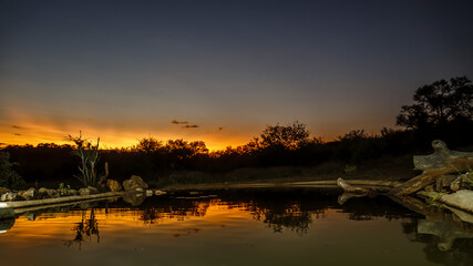 Naklejka premium Waterhole wide angle view at sunset in Kruger National park, South Africa