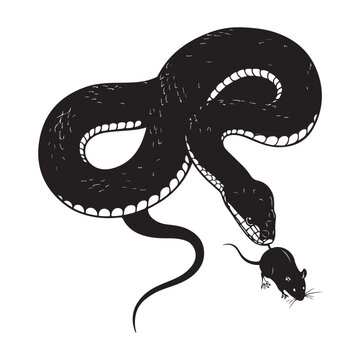 Snake hunting a mouse, black and white vector illustration of a predator and prey relationship. AI Generator