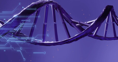 Displaying dark purple DNA double helix spanning space, with light blue circuit overlays