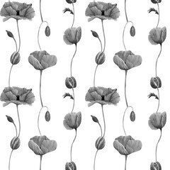 Obraz premium Poppies flowers background. Seamless watercolor floral pattern with black and white botanical poppy wildflower illustration for textile, wallpapers