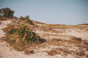 Natural landscape featuring sandy terrain and scattered greenery under a clear blue sky during the...