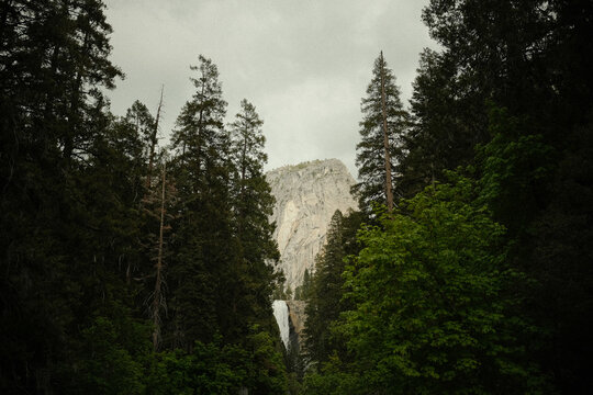 Vernal Falls Through Lush Pines on hiking Trail in Yosemite National Park