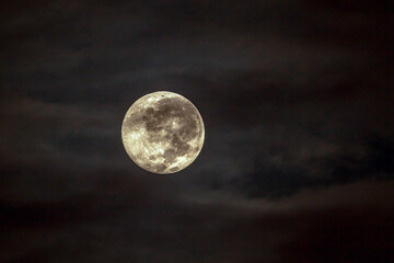 Full moon by night in Greater Kruger National park, South Africa