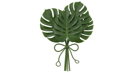 Isolated Monstera Leaf Bouquet