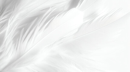 Obraz premium A close-up of delicate white feathers against a soft background, evoking a sense of purity and elegance in natural design.