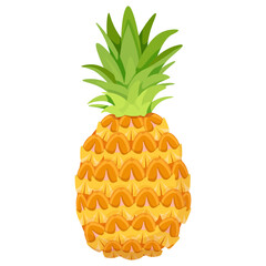 Natural whole pineapple fruit with leaves