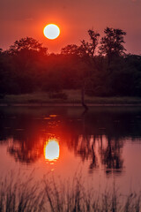 Sunrise from sable dam hide in Greater Kruger National park, South Africa