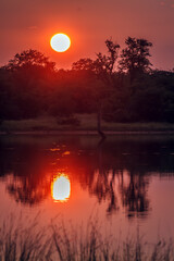 Sunrise from sable dam hide in Greater Kruger National park, South Africa