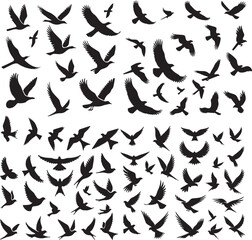 Set of silhouettes of flying birds in a flat style on a white background