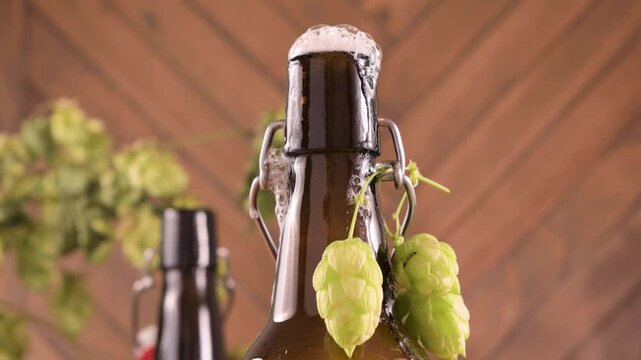 Close-up of a freshly opened beer bottle with foam spilling over the top. Rustic background, fresh hops hanging on the bottle. Concept of craft beer, freshness, brewing, and celebration. 4k footage