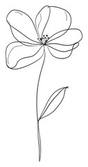 Minimalist Poppy Line Drawing – Elegant Single-Line Floral Illustration
