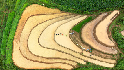 Water season flows into terraced fields and rice planting begins in Mu Cang Chai, Yen Bai. Photo...