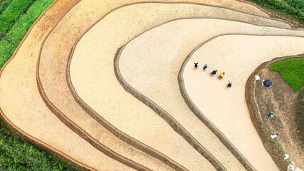 Water season flows into terraced fields and rice planting begins in Mu Cang Chai, Yen Bai. Photo...