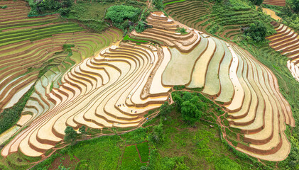 Water season flows into terraced fields and rice planting begins in Mu Cang Chai, Yen Bai. Photo...