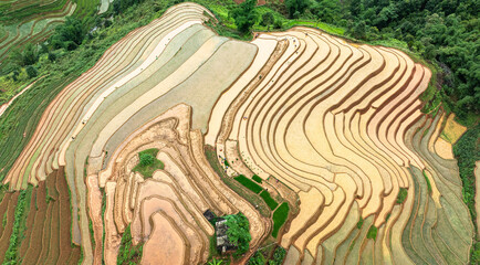 Water season flows into terraced fields and rice planting begins in Mu Cang Chai, Yen Bai. Photo taken in Yen Bai on June 22, 2025.