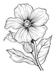 Elegant Flower Line Art – Detailed Botanical Ink Drawing
