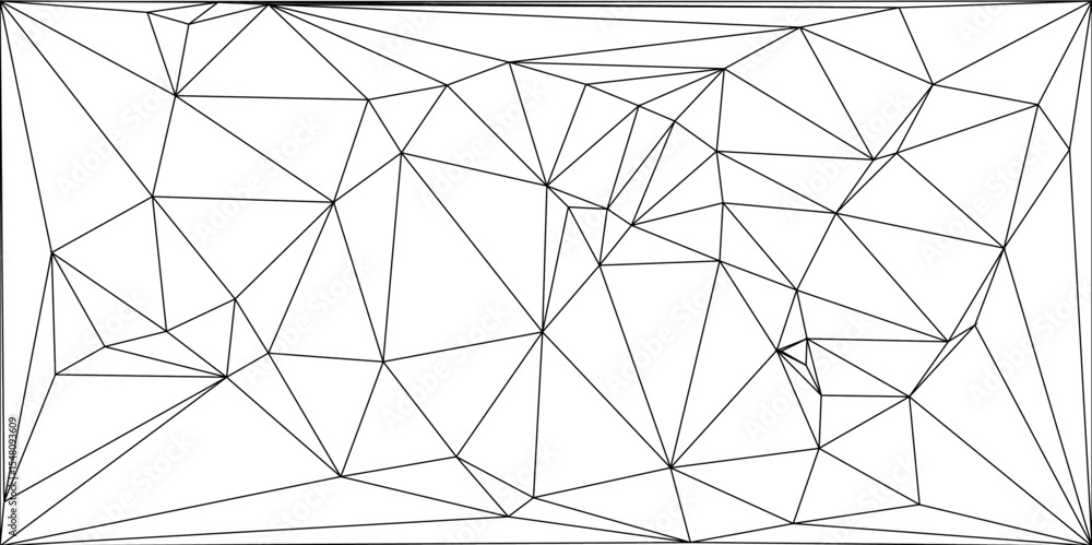 Poster abstract geometric background featuring an irregular network of black polygonal lines. low-poly, wir