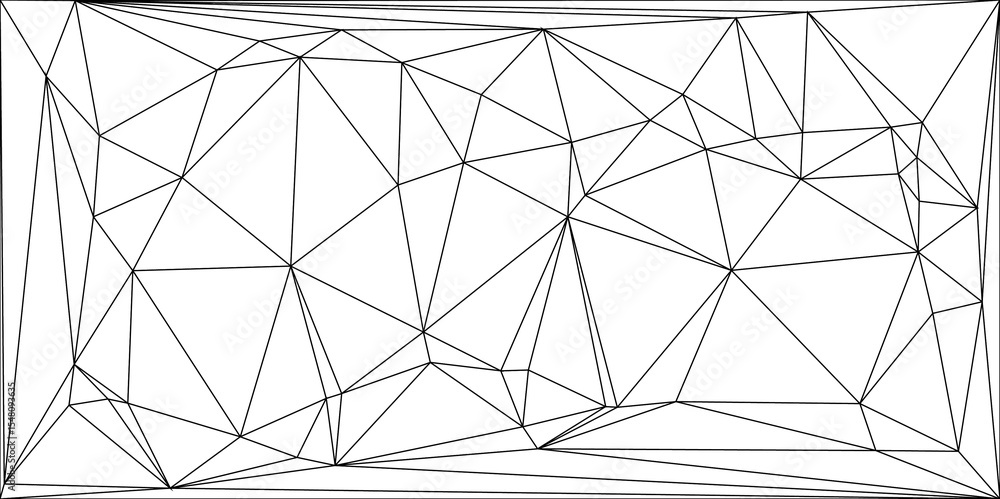 Poster abstract geometric background featuring an irregular network of black polygonal lines. low-poly, wir