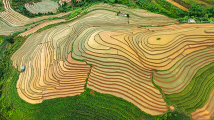 Water season flows into terraced fields and rice planting begins in Mu Cang Chai, Yen Bai. Photo...